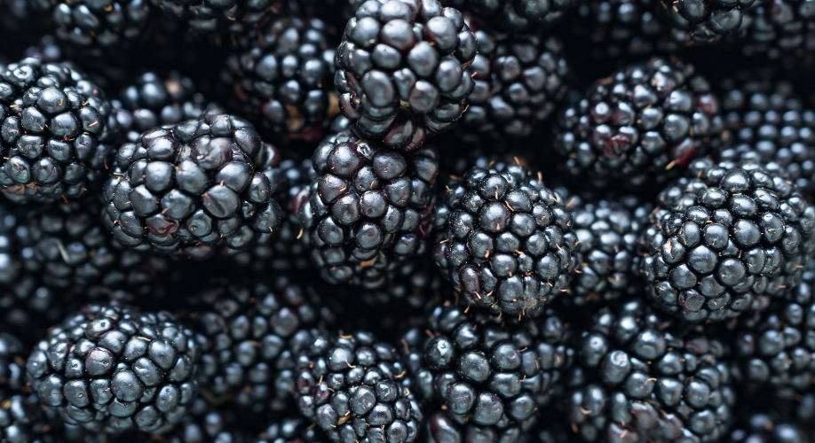 blackberry