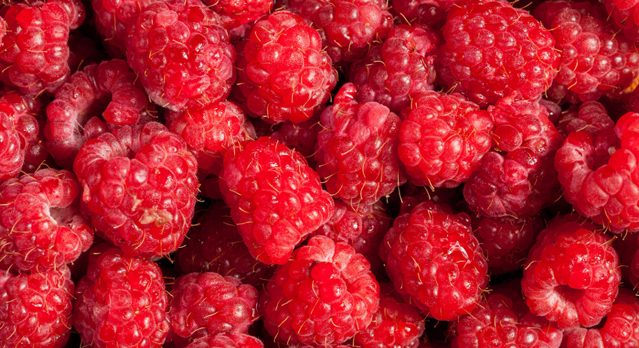 raspberry